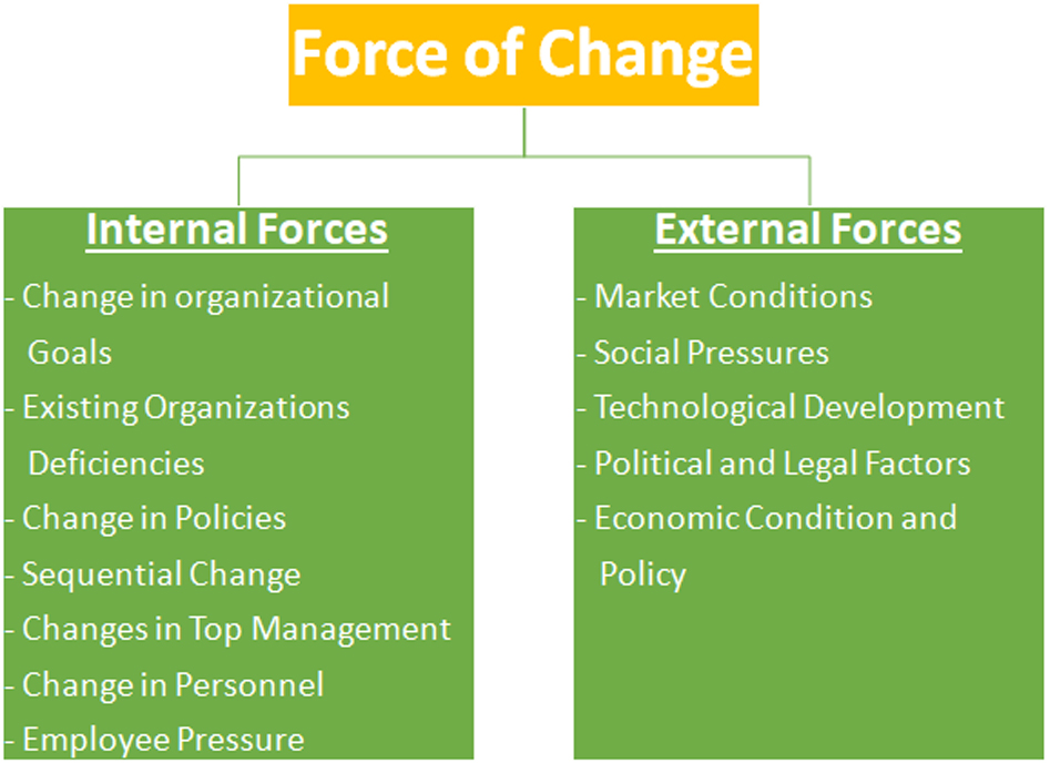 Understanding the General Environment: Key Forces Shaping Organizations