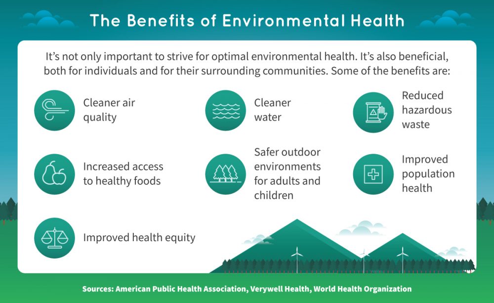 Environmental Wellness Factors: How Peer Influence and Role Models Shape Your Health