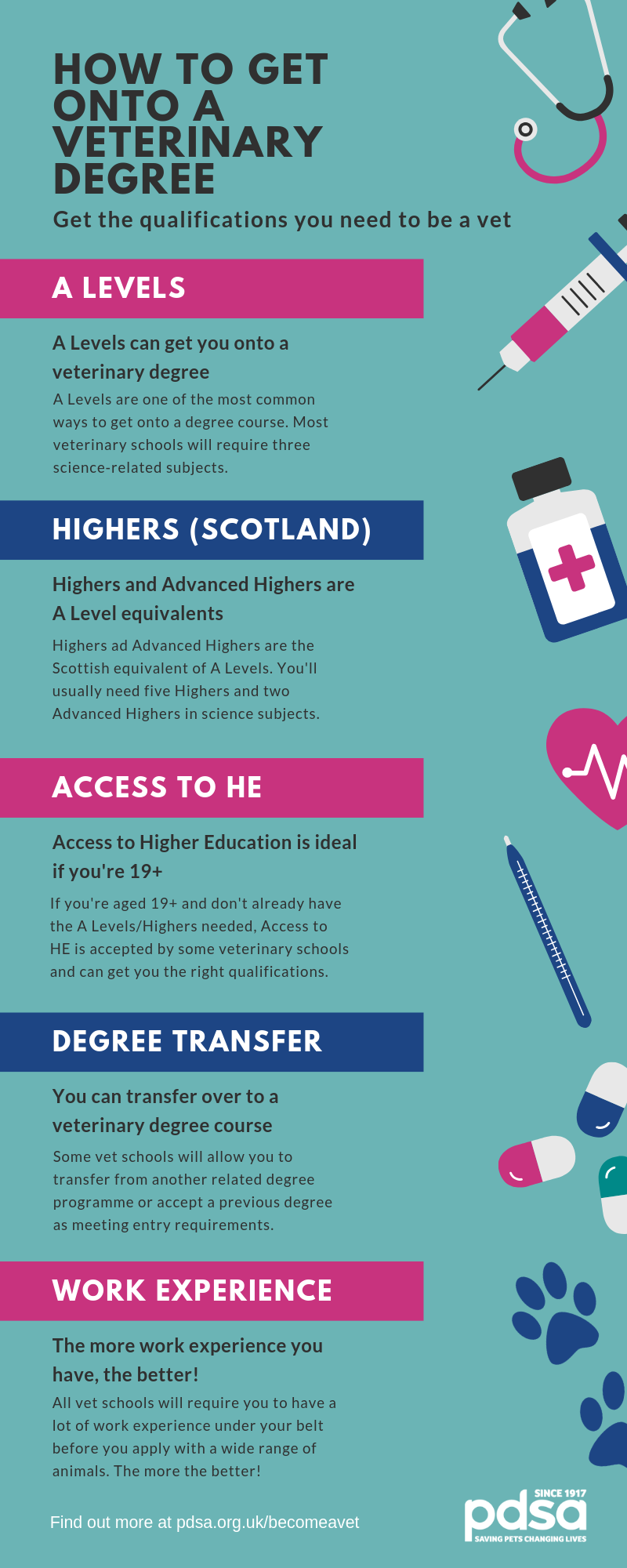Veterinary Education Requirements: The Complete Path to Becoming a Veterinarian