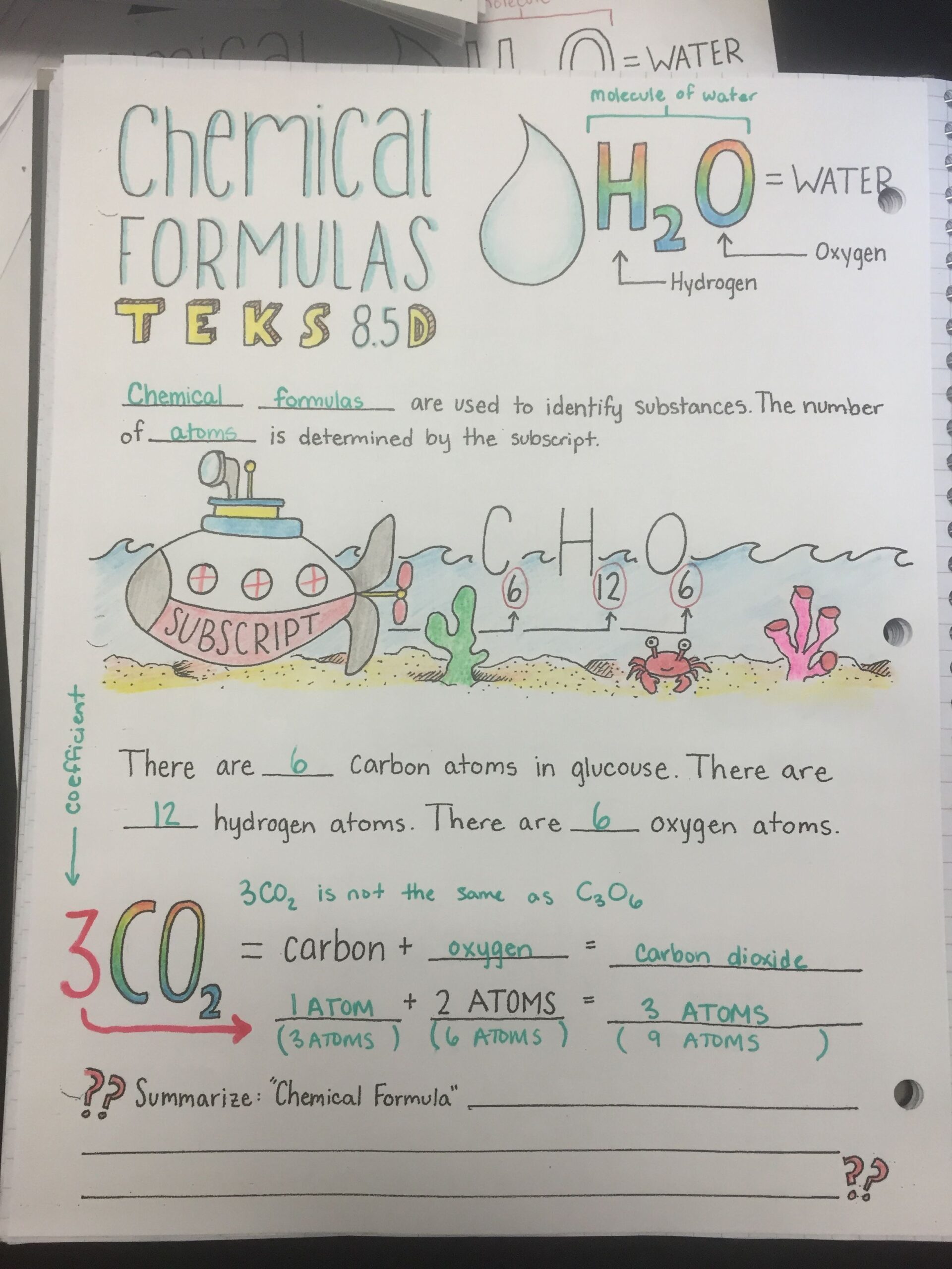 8th Grade Science Curriculum: Complete Guide to Core Subjects and Learning Objectives