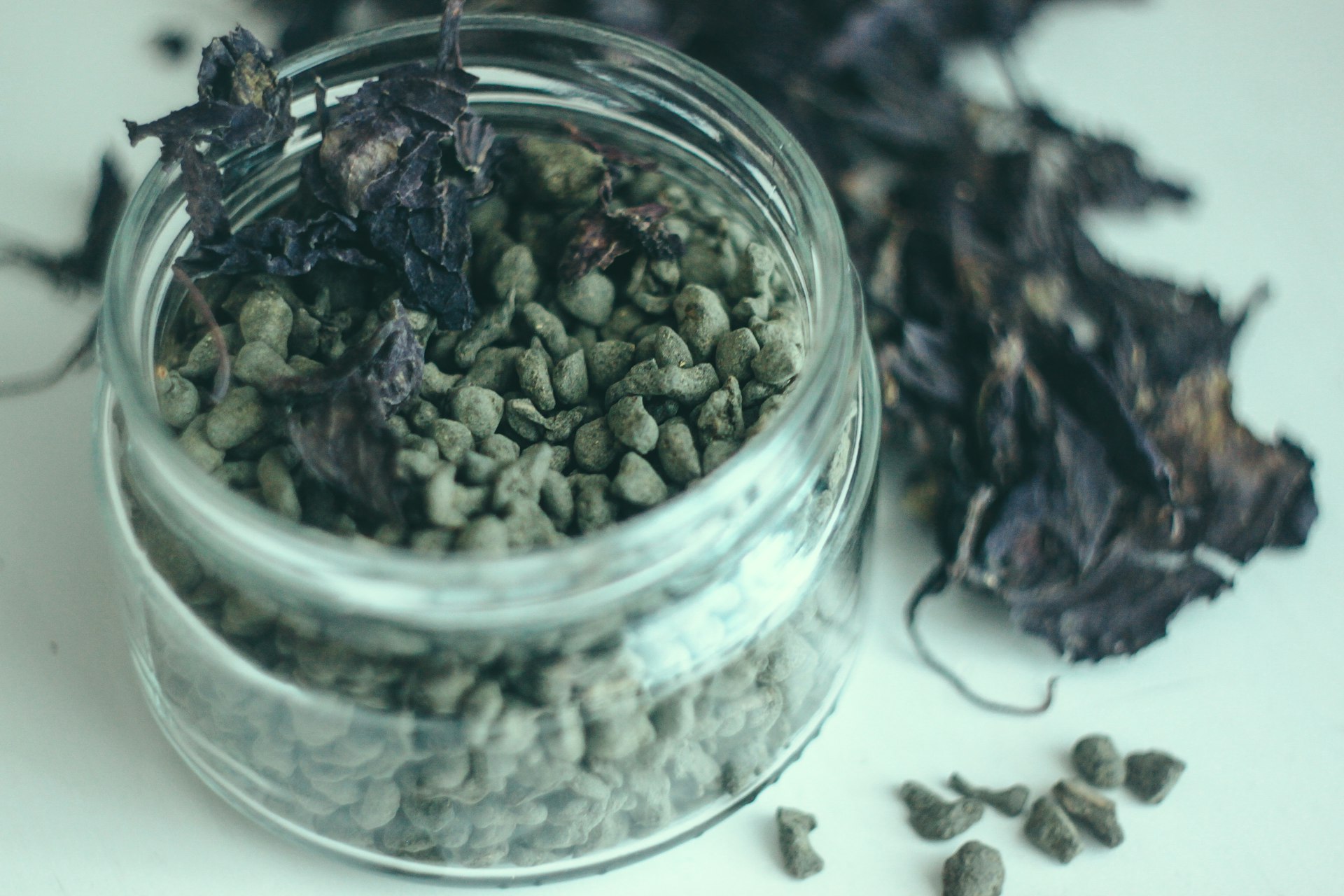 Discover Holistic Herbal Teas and Blends for Immune Support and Whole-Body Wellness