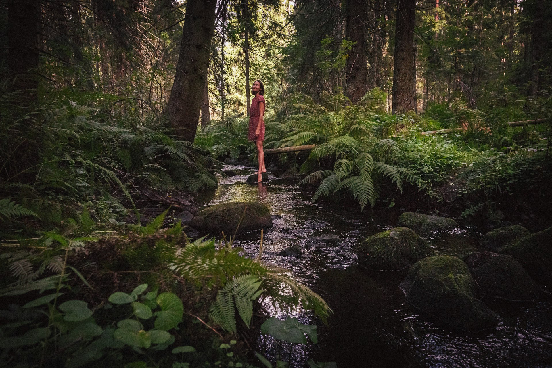 Transform Your Well-Being: How to Practice Forest Bathing for a Balanced Lifestyle