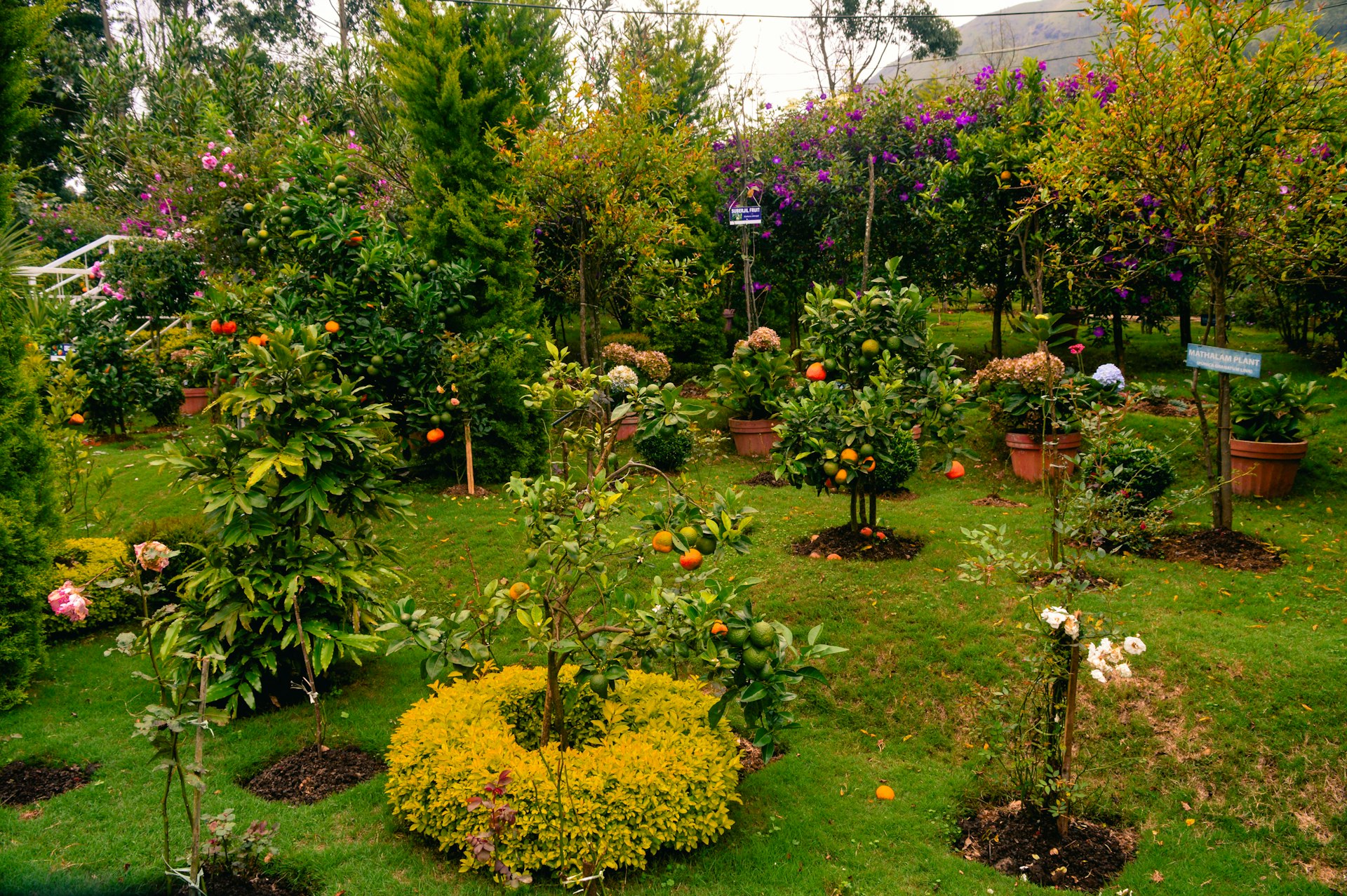 Transform Your Garden with Proven Permaculture Lifestyle Methods
