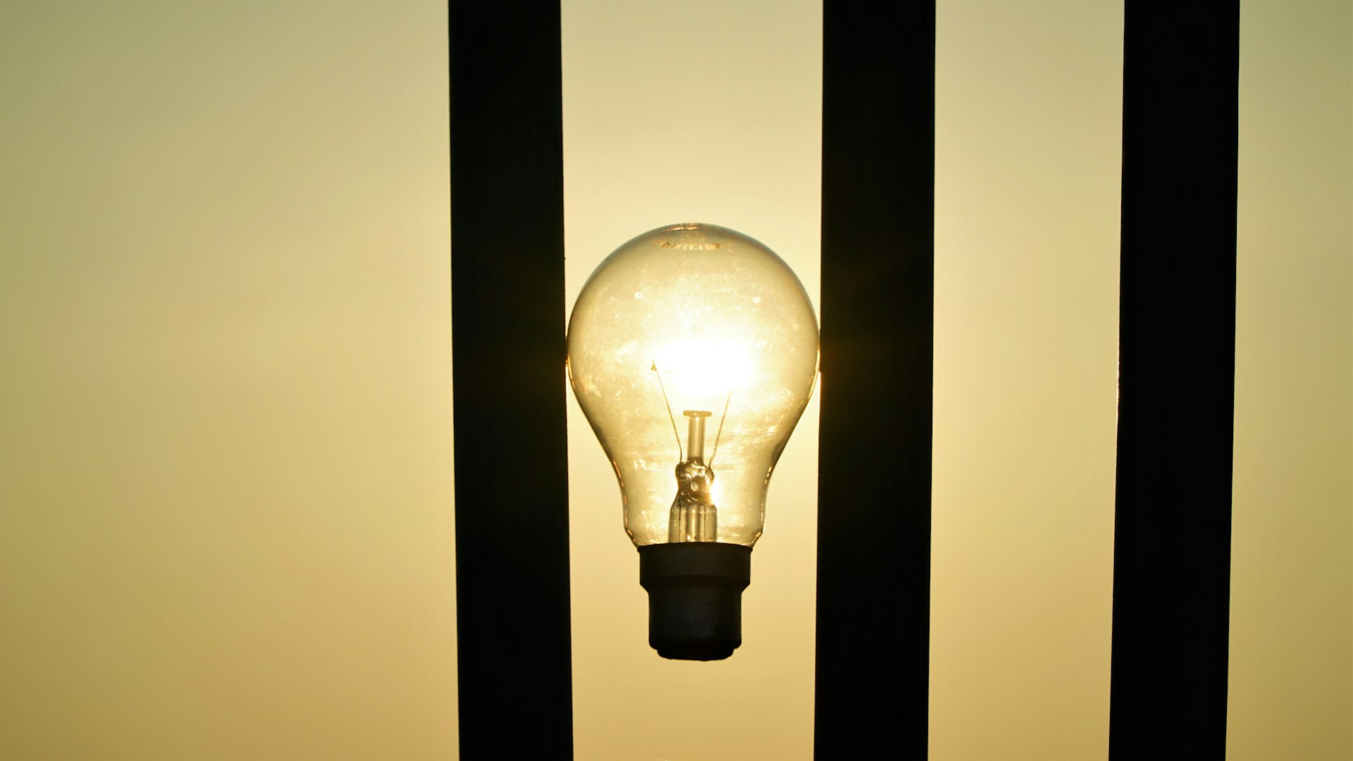 How Gen Z Is Reinventing Business Innovation: Strategies, Impact, and Pathways