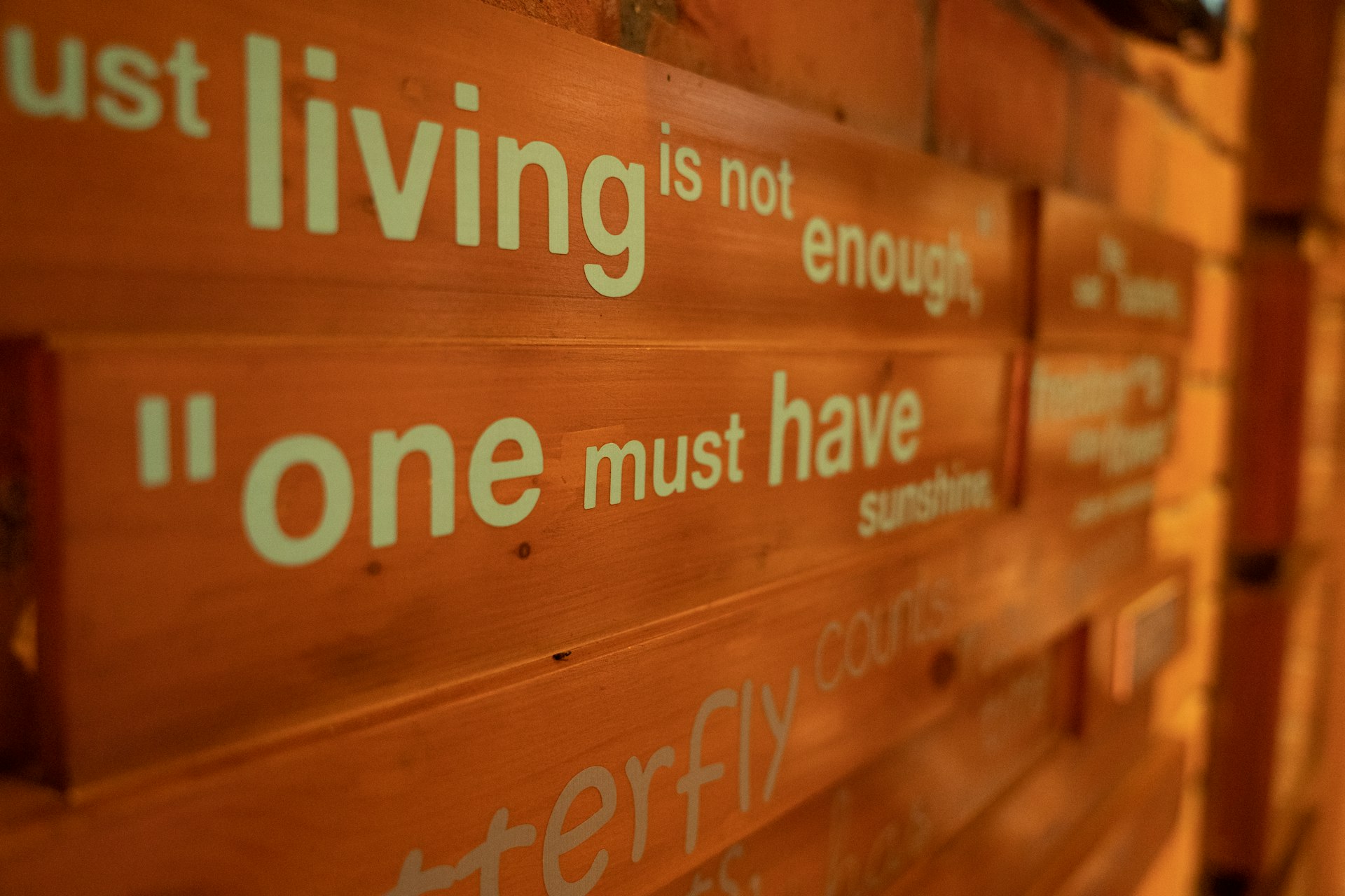 Transforming Life with Voluntary Simplicity: The Modern Movement for Meaningful Living