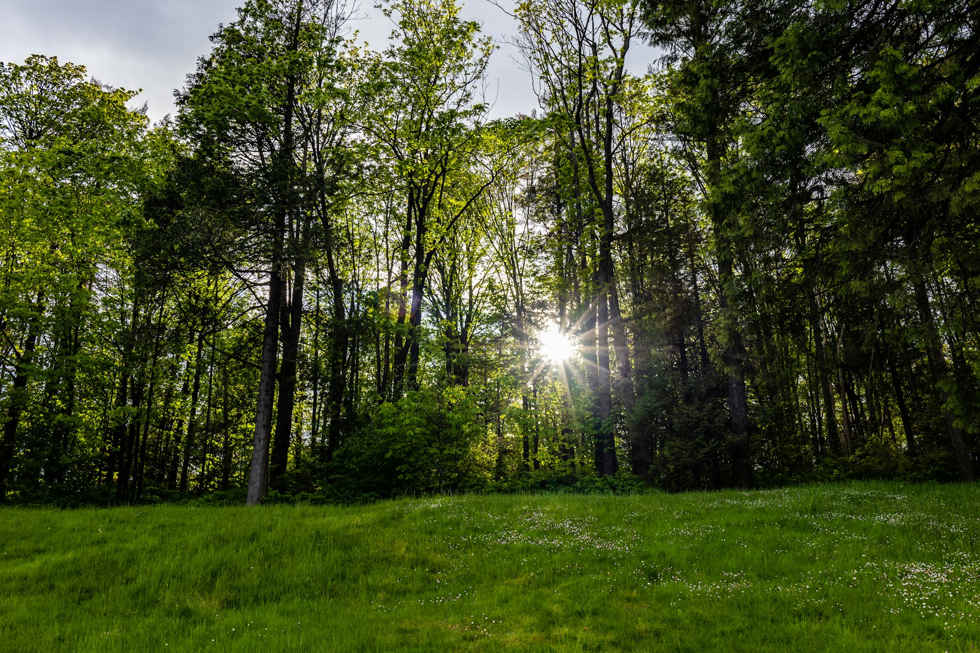 Transform Your Well-Being: How Spending Time in Nature Can Change Your Life