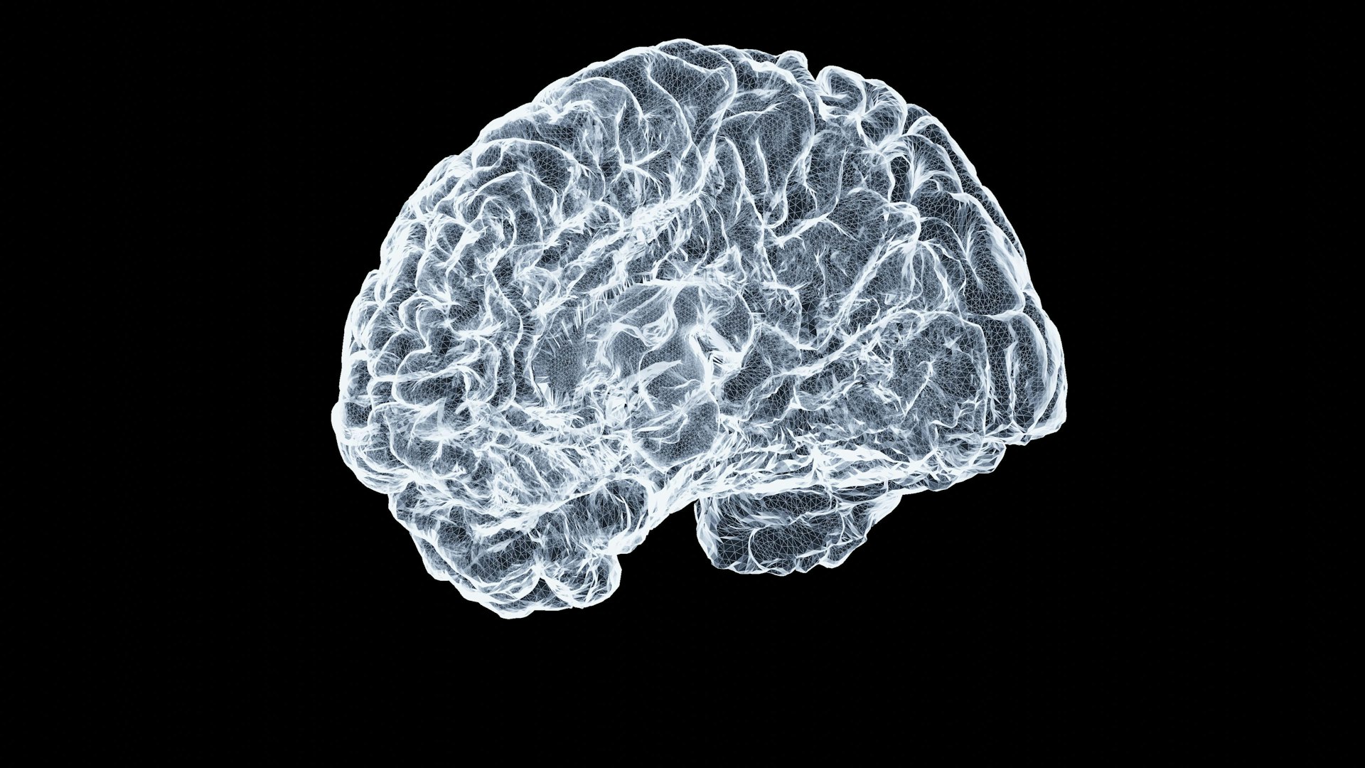 Unlocking Better Brain Health and Memory: A Practical Guide to Nutrition for Cognitive Performance
